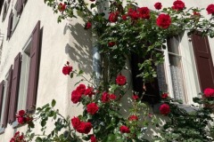 Wohlfühlen und genießen